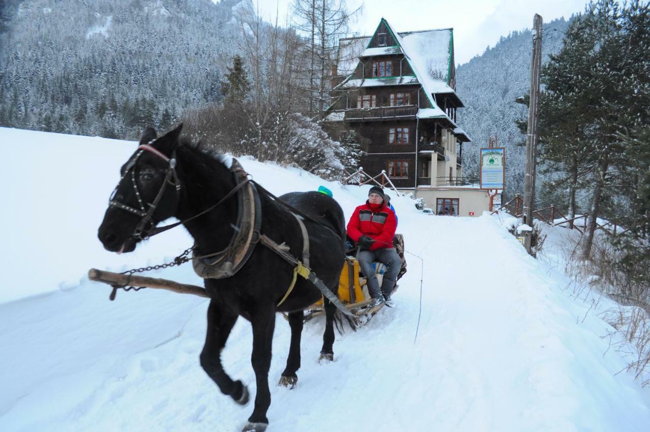 Bed and breakfast Schronisko Pttk Trzy Korony *